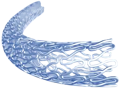 Sirolimus-Eluting Stent